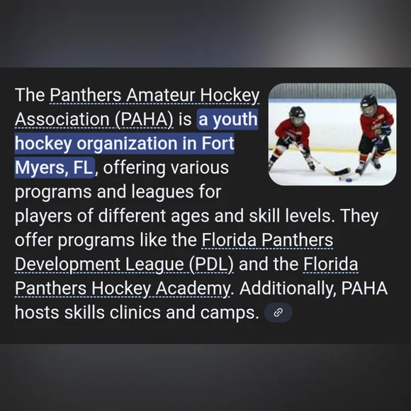 Panthers Amateur Hockey Association Vintage Jerseys (2) Adult Small - Picture 12 of 12